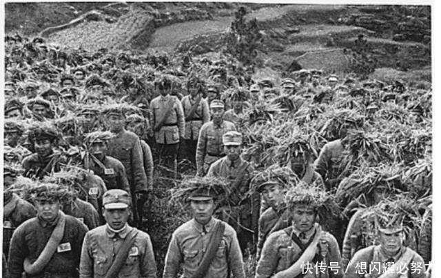 李营长|远征军在山上被日军包围,竟然被一群猴子给救了,气得日军直跺脚!