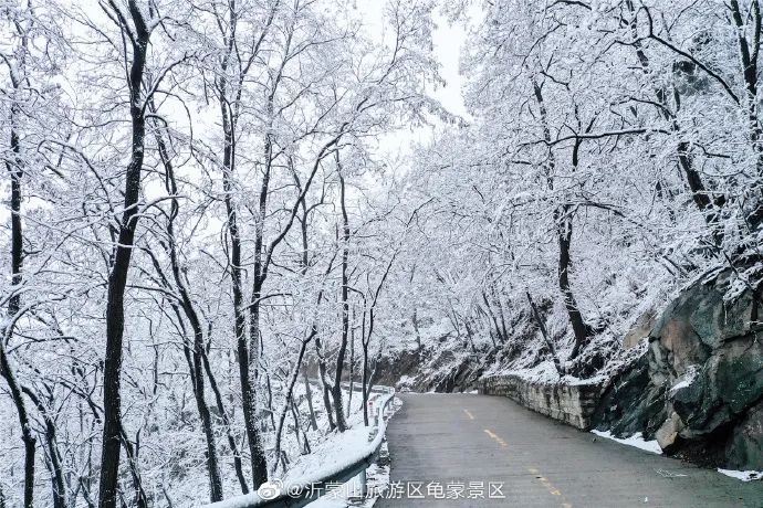 期待|期待一场大雪 邂逅最美山“冬”