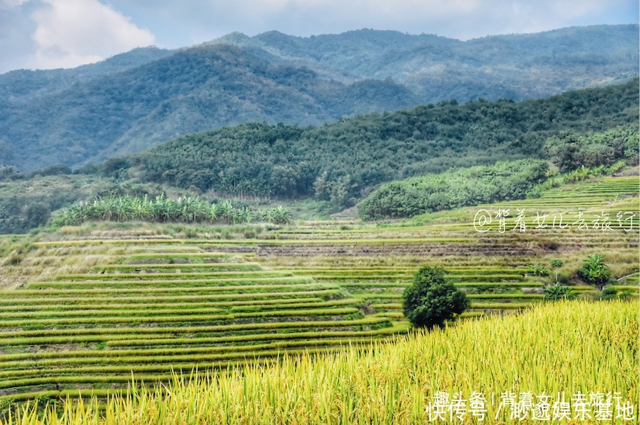 黎族|忘掉三亚海口！探索你不知道的海南，中线自驾游还能这么玩