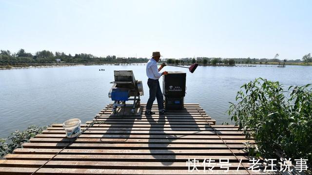 大黑鱼|钓友钓上来一条大黑鱼,没敢带回家,看了看赶紧放了,什么情况