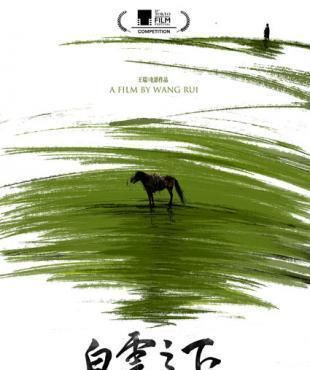 妥协|《白云之下》导演王瑞专访:人最可怕的 是心甘情愿的妥协