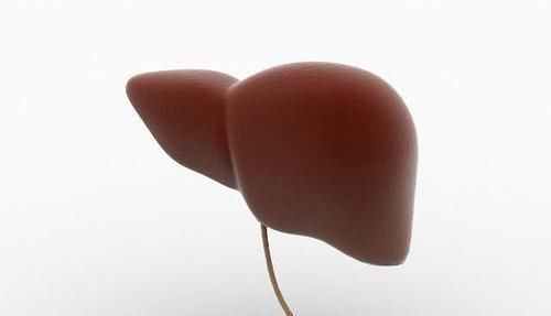 肝脏|经常喝酒的人，喝酒前若牢记这3句话，肝脏或许会舒服一些