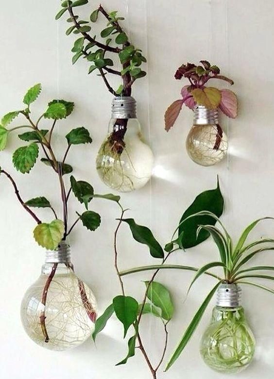 阳台|把灯泡拿去养花,挂在阳台上太好看了!真的太佩服邻居的脑洞
