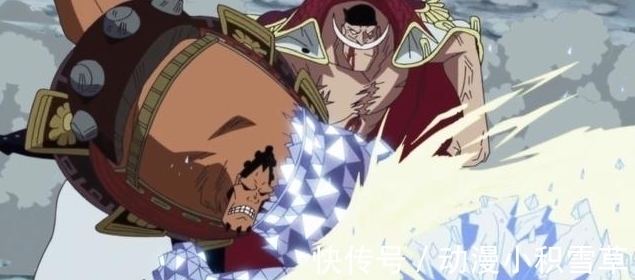 巴洛|海贼王:防御性最高的几个恶魔果实,为何巴托洛米奥只能排第二?