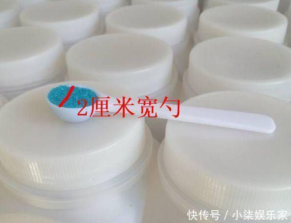 花多多|养花必备肥料,浇水前撒一点,月季开花拳头大!