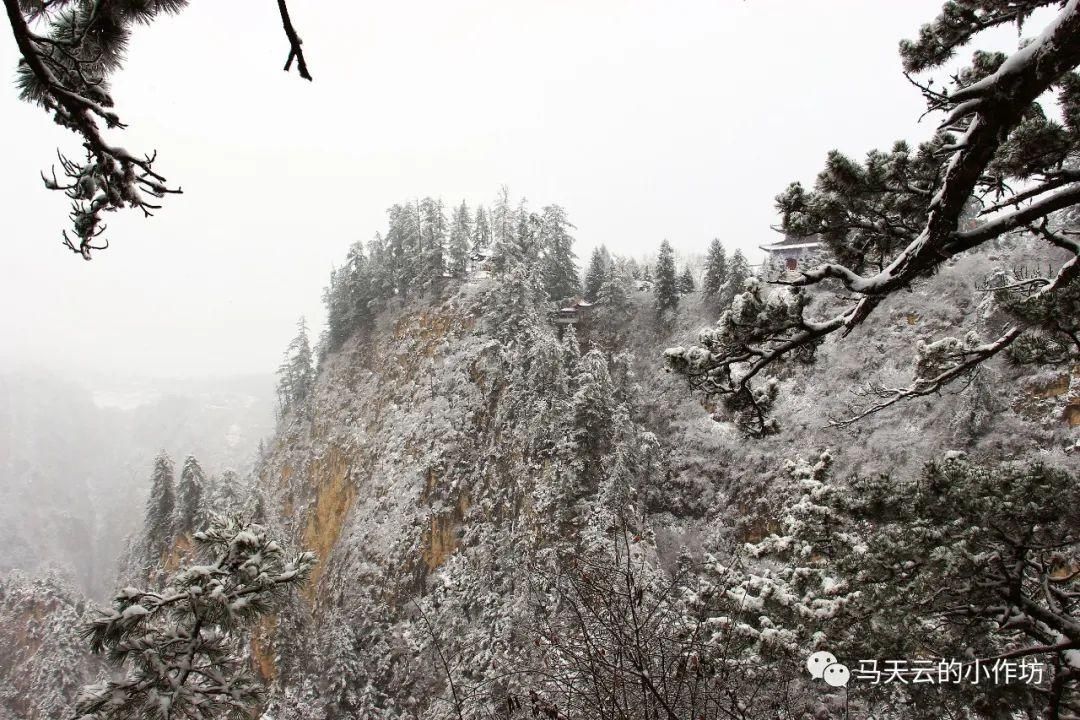 雪落贵清山|图胜千言| 雪落