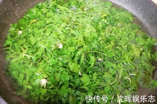 开春该吃啥这野菜包饺子正适合，清香可口味道好，鲜得忘不了