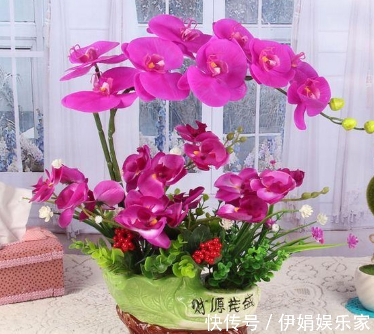 3种“富贵花”,添福添贵添好运,家里养一盆,招财又纳福!