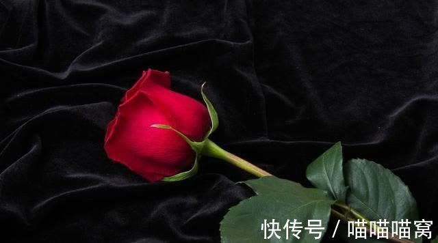 木克土|恭喜,四生肖惹不起,八十一难已过,添丁又添财,扬眉吐气变富豪