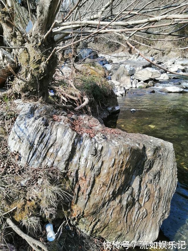 深山|秦岭深处，奇山异水，精美的奇石满河滩，太值钱了