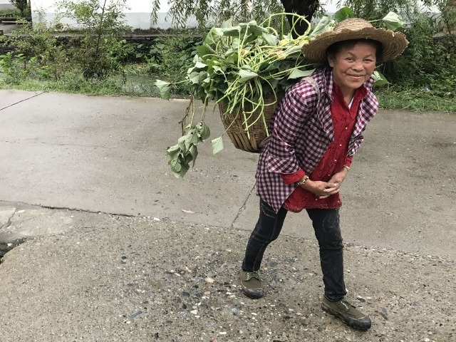 洗腿|58岁的大妈坚持用它来洗腿,竟逆转了静脉曲张,不用去做手术了