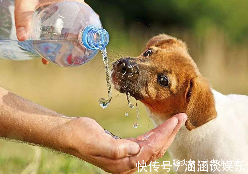 露出水面|食用油桶不要扔,清洗干净改造一个神器,家家户户都用得上