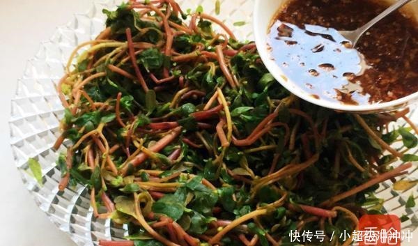 难得的“黄金野菜”，消炎杀菌降血压，是天然的抗生素