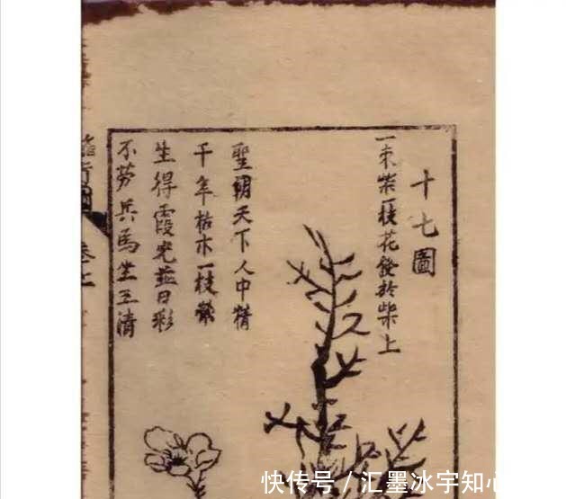 奇书|家有一本奇书实在看不懂