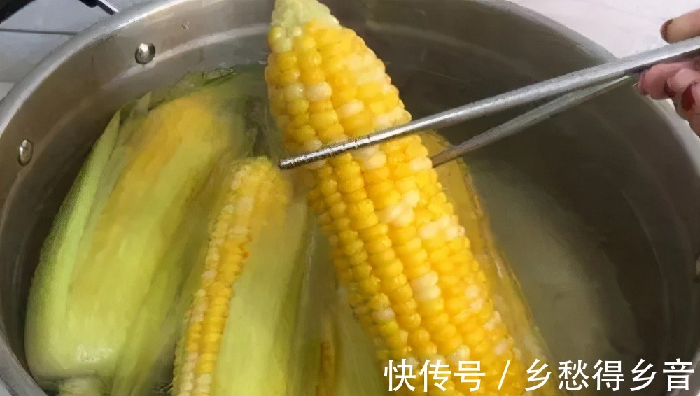 老妈|夏季煮玉米，最忌用清水直接煮，多加这2味，玉米又香又糯，好吃！