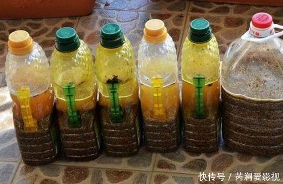 养花就用这些东西“密制”花肥,不花一分钱,还好用不烧根