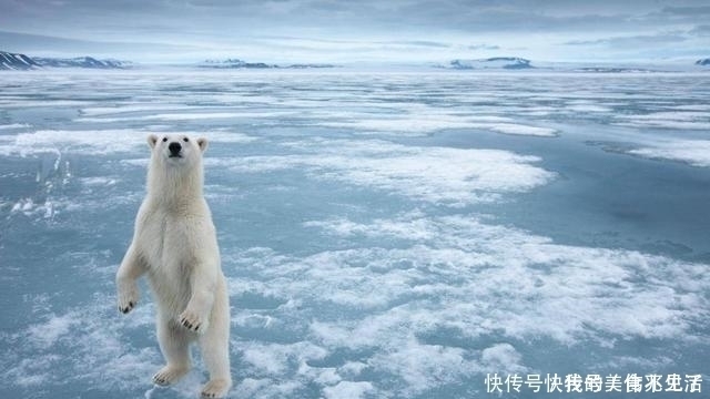地轴 为什么会有四季为什么在夏天,北极还是那么冷