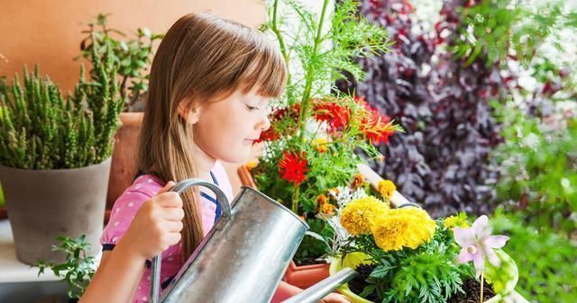 爆盆|什么啤酒水、淘米水都不如一种水,比花肥还管用,养啥花都爆盆