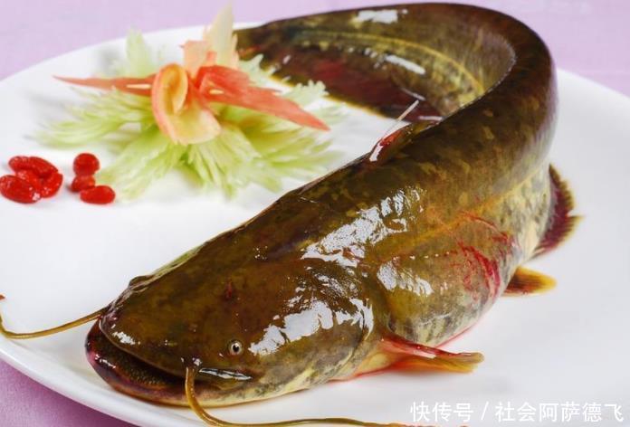 医生从不吃的4种鱼,多数人还当成山珍美味,疾病一旁虎视眈眈