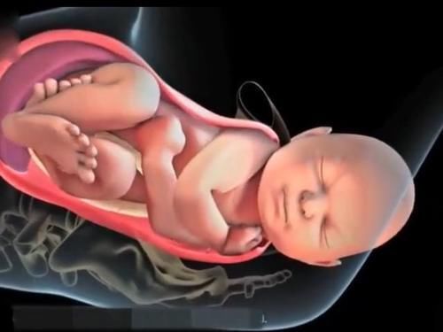 过程|顺产的全过程到底是怎样的,生而为人需了解,请勿泪奔