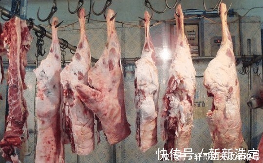 部位|买羊肉时,聪明人专挑这几个部位买,老板一看你就是个行家!