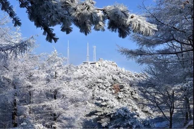 冬日|高清美图｜蒙山又飘起了雪花，最美冬日地图上线