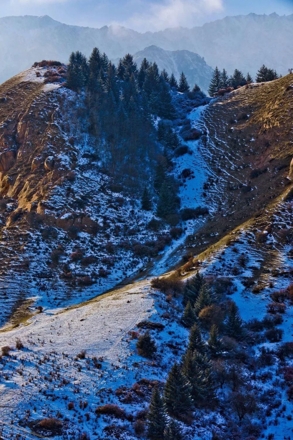 祁连山|【组图】肃南：雪后祁连山分外妖娆