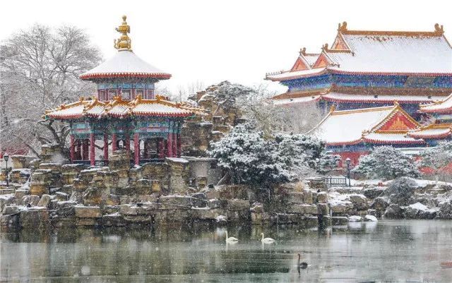 期待|期待一场大雪 邂逅最美山“冬”