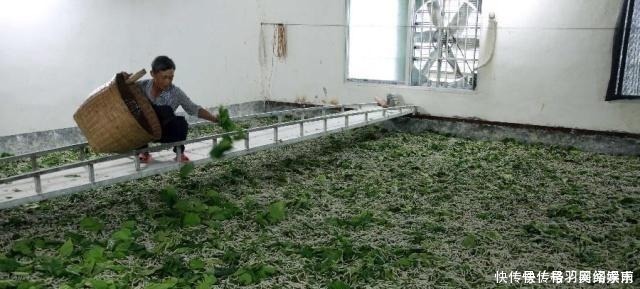 马未都说全世界仅存的两件“国宝”,我手里有一件,价值连城