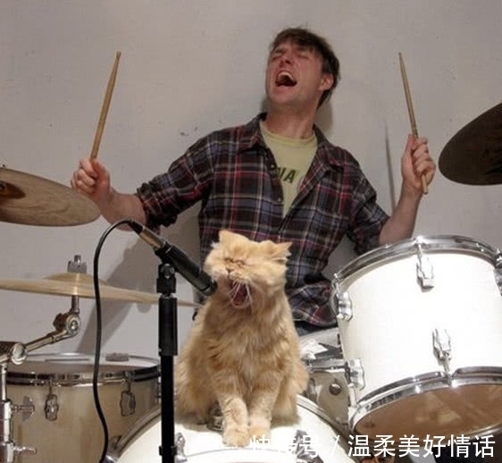 |搞笑GIF动画:这俩汪星人在跳探戈呢!舞步很标准喏!