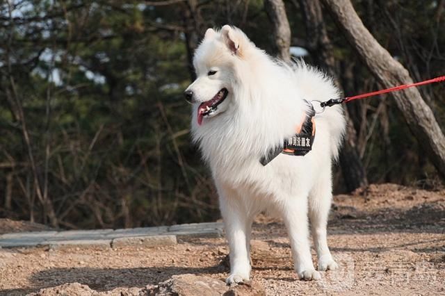 游湖登山春好处，到北岭山森林公园踏春去