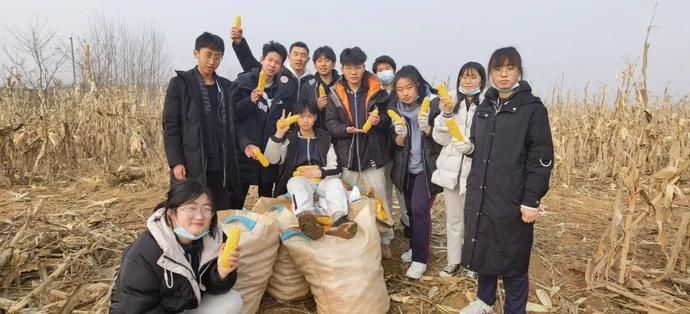  青岛|青春礼贤丨田间第四日——青岛九中高二同学学农日记