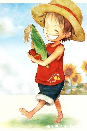 布鲁克|海迷必备草帽团壁纸索隆月下独酌,甚平披锦袍显“豪横”气