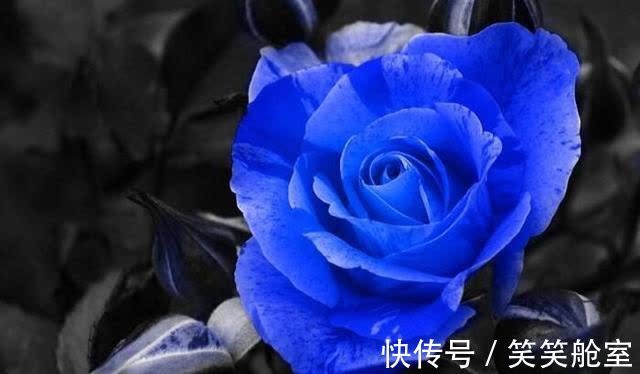 天蝎|8月下旬，桃花怒放，旧爱复合变真爱的4大星座！