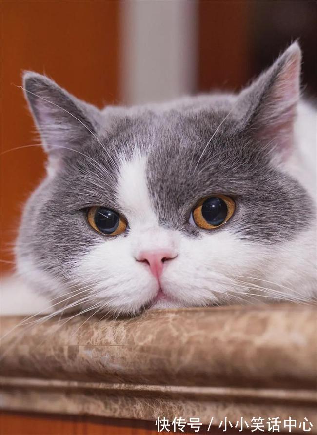 |【被窝段子20211223】现实点,你根本没有努力,你在抱怨