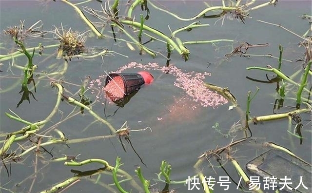 冬季钓鱼,4不宜3不钓,避开这些“坑”,冬钓再也不走空