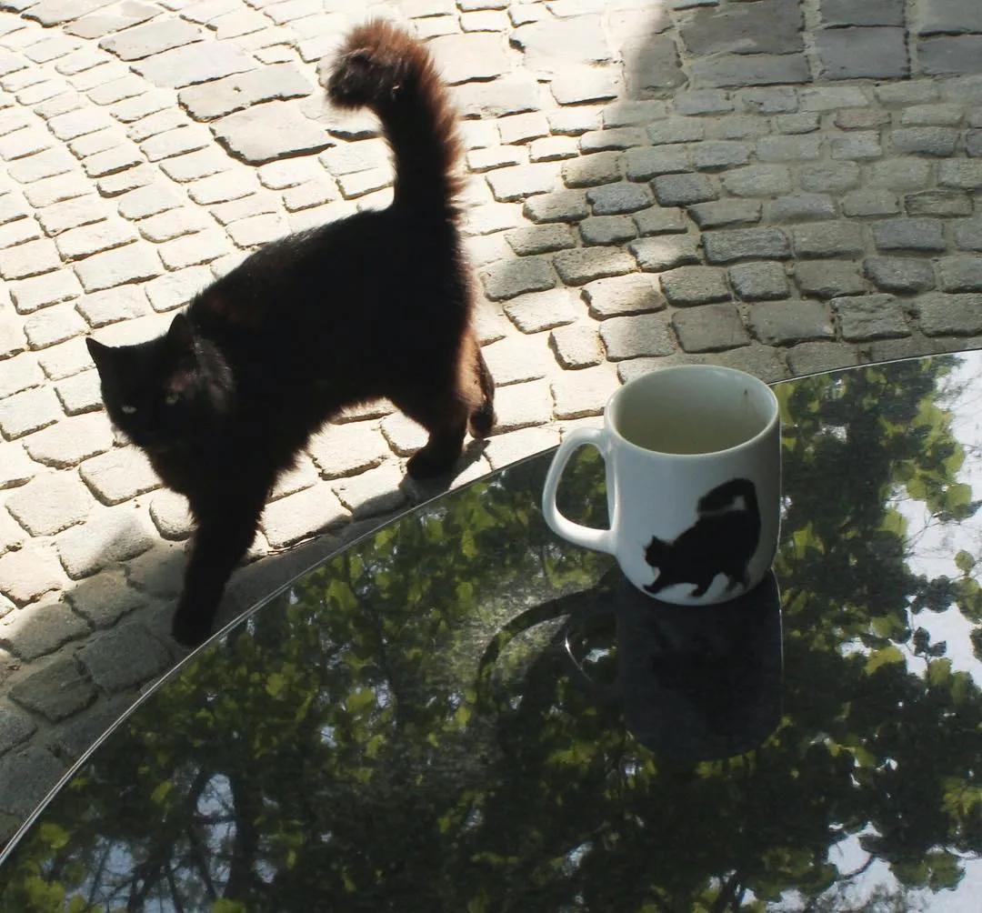 专画国画的老外,竟被10万人狂热追捧,看完作品立马佩服不已