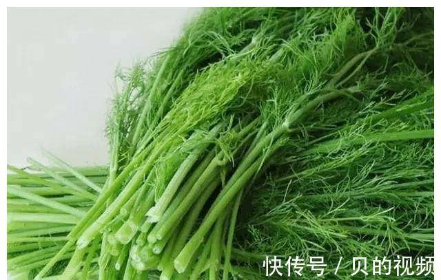 莼菜莼菜|冬天很有营养的3种食物，要学会做着吃，美容养颜，滋润身体！