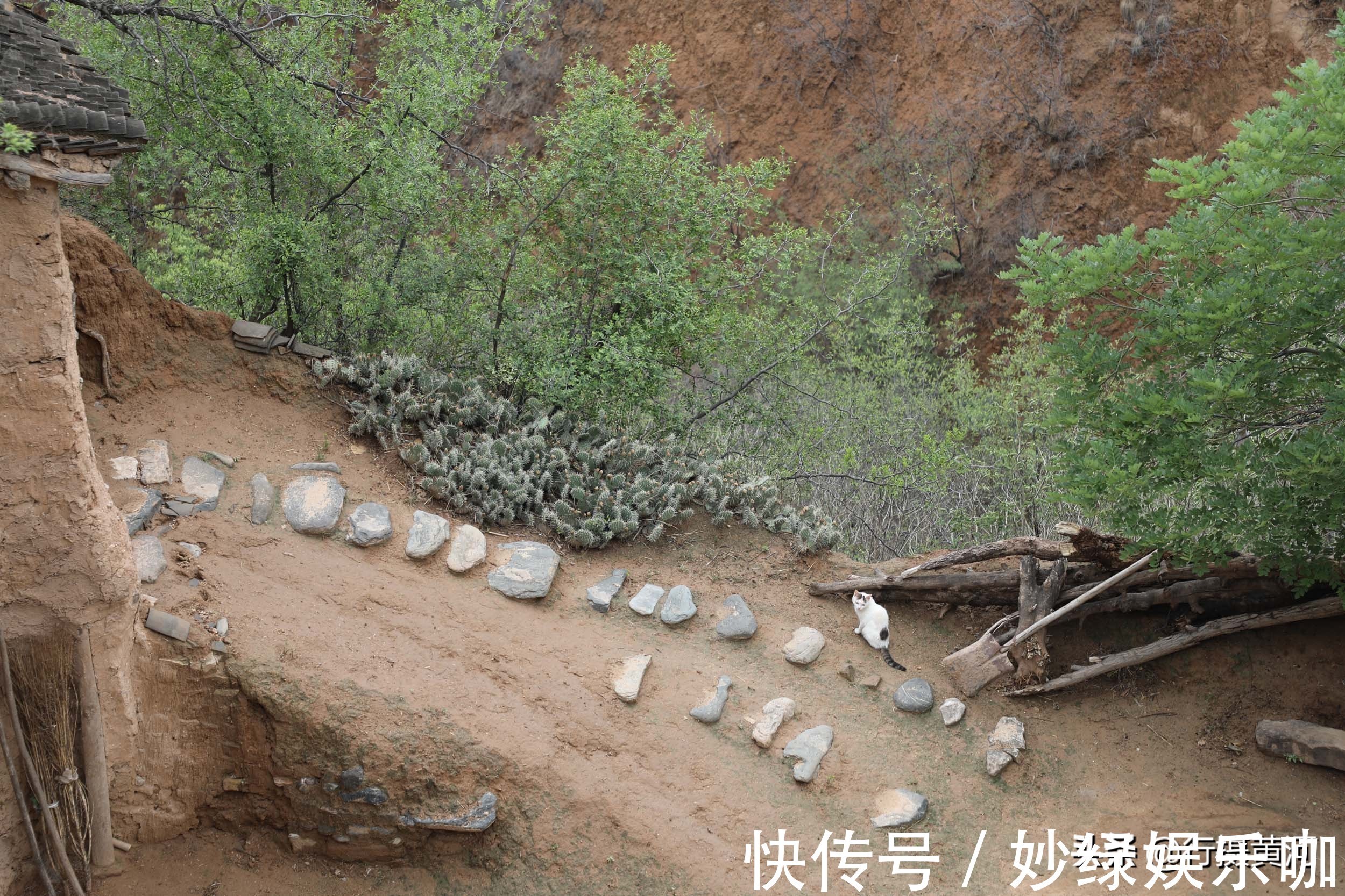 老两口#60年前独生女初中毕业被父母强行招了上门女婿,如今活成啥样?