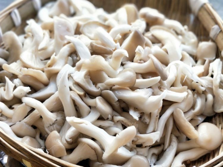 买平菇，挑大的还是小的？菇农教你4个妙招，新鲜品质好，更好吃