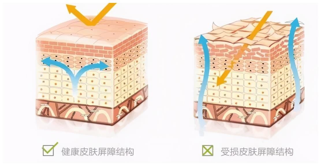 「未来医生」不想变黑，除了防晒，还应该这样做