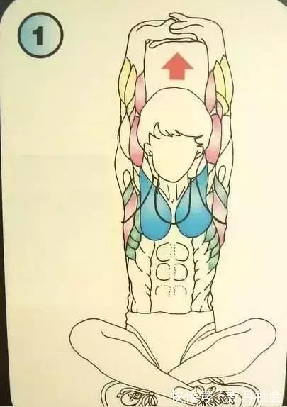 拉筋|每日拉筋的10个方法，正确的拉筋让你越拉越年轻