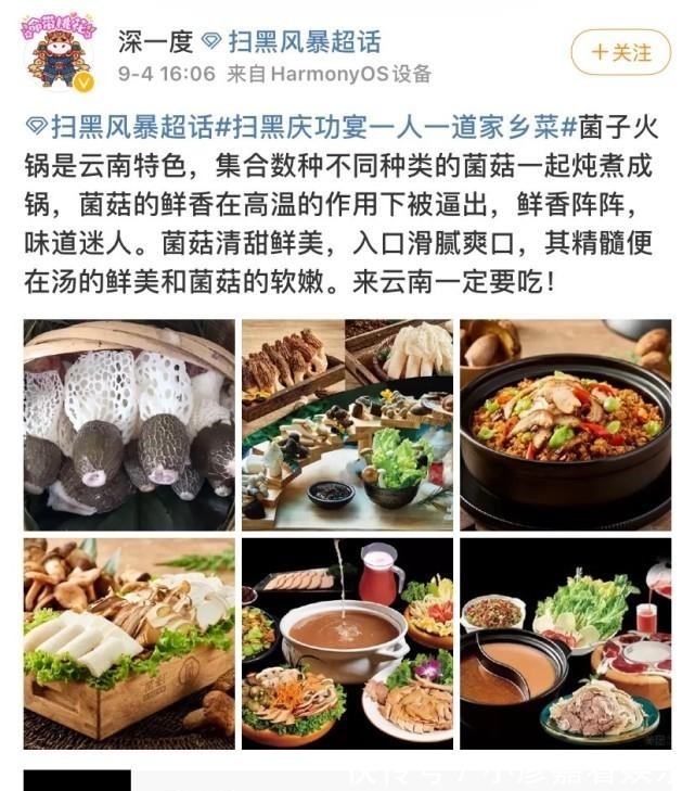 綠藤|(zhì)掃黑風暴慶功宴:一人一道家鄉(xiāng)菜,綠藤市民推薦林浩吃辣椒炒肉!