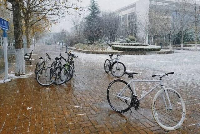 冬天|突如其来的滨医初雪，惊艳这个冬天