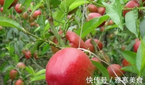 抗氧物|冬天不妨多吃3种食物，改善皮肤、美化容颜，早吃早受益