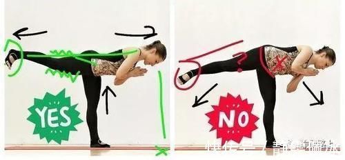 胸腔|为什么瑜伽练习不能照葫芦画瓢？看过这些图你就懂了…