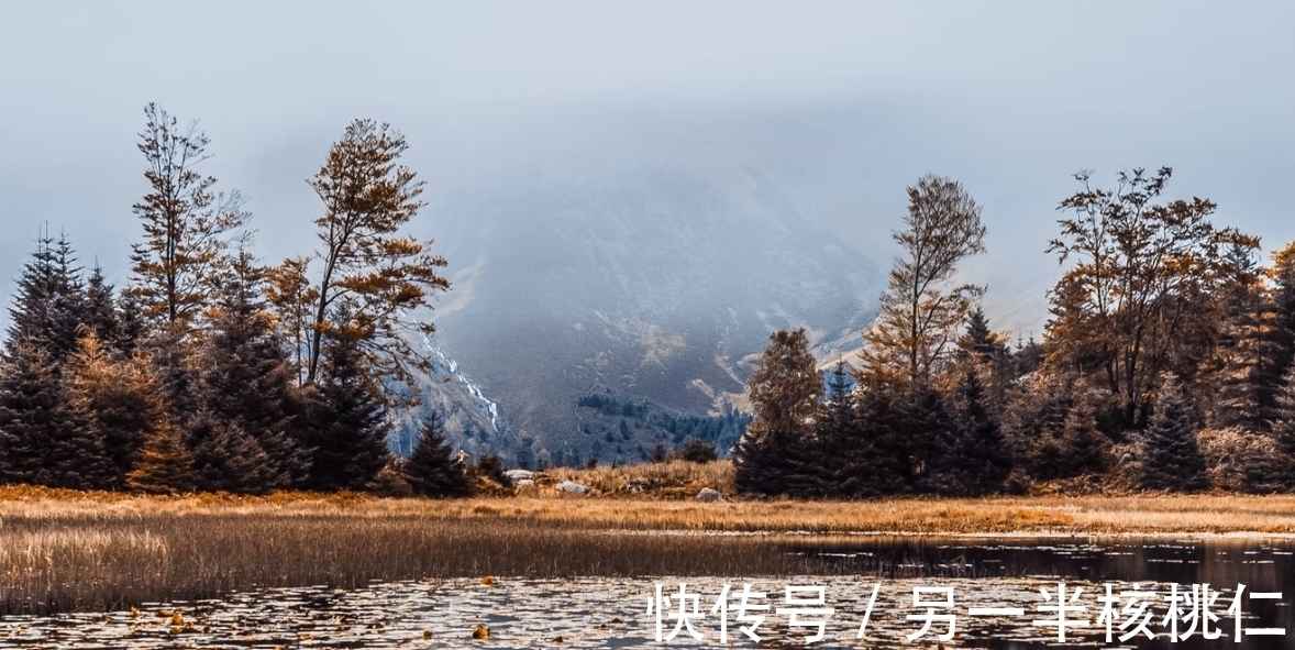 天秤座|喜欢超越自我,但也敢于放下自我的星座,他们不受拘束,也很城府