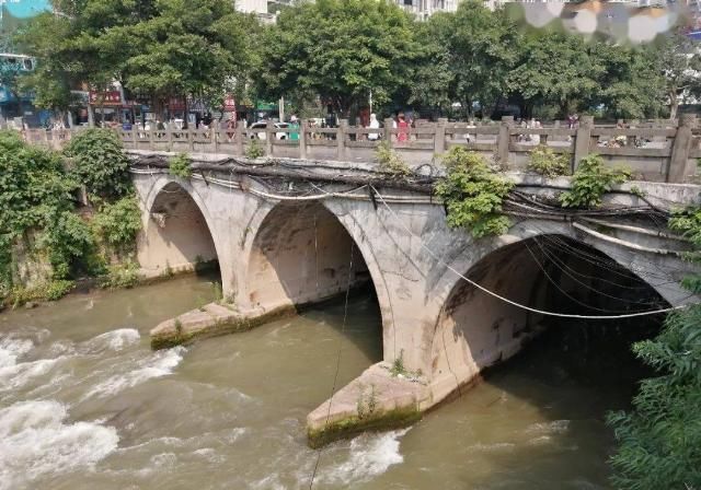 海棠记忆海棠院里寻春色日炙荐红满院香