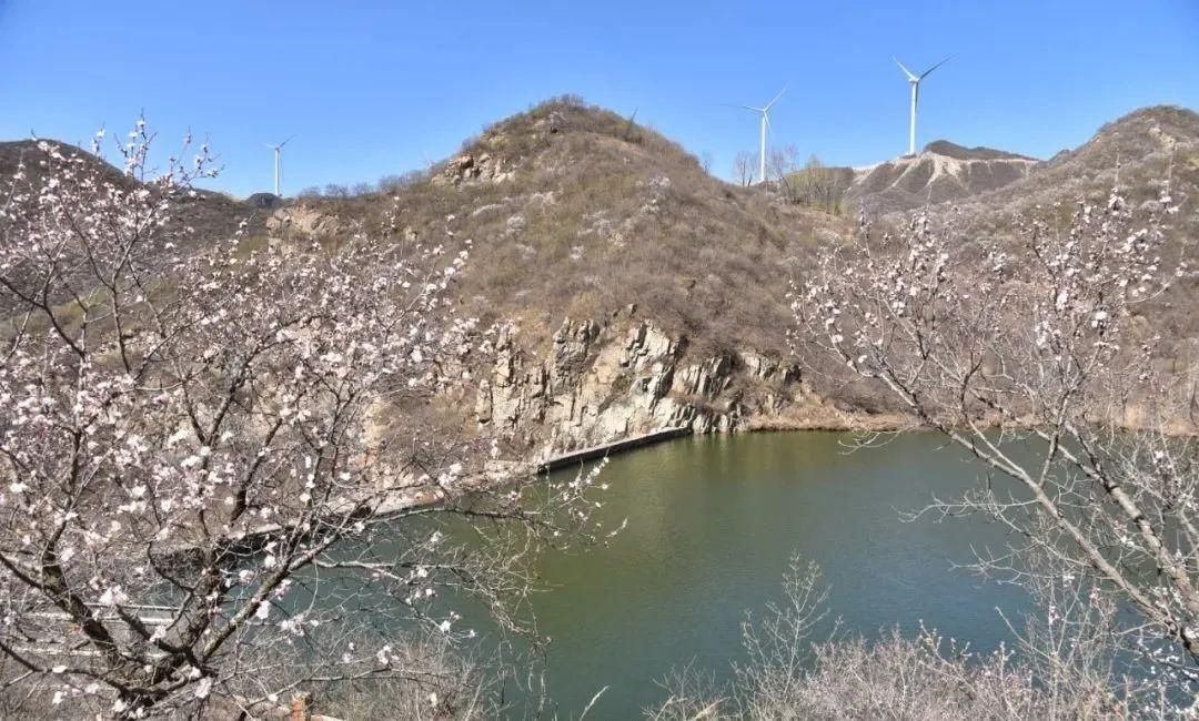 昌平花事：长峪城山花烂漫青山翠