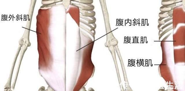 中立|“翘屁股”,我们真的需要它吗骨盆前倾危害大,9个动作纠正它